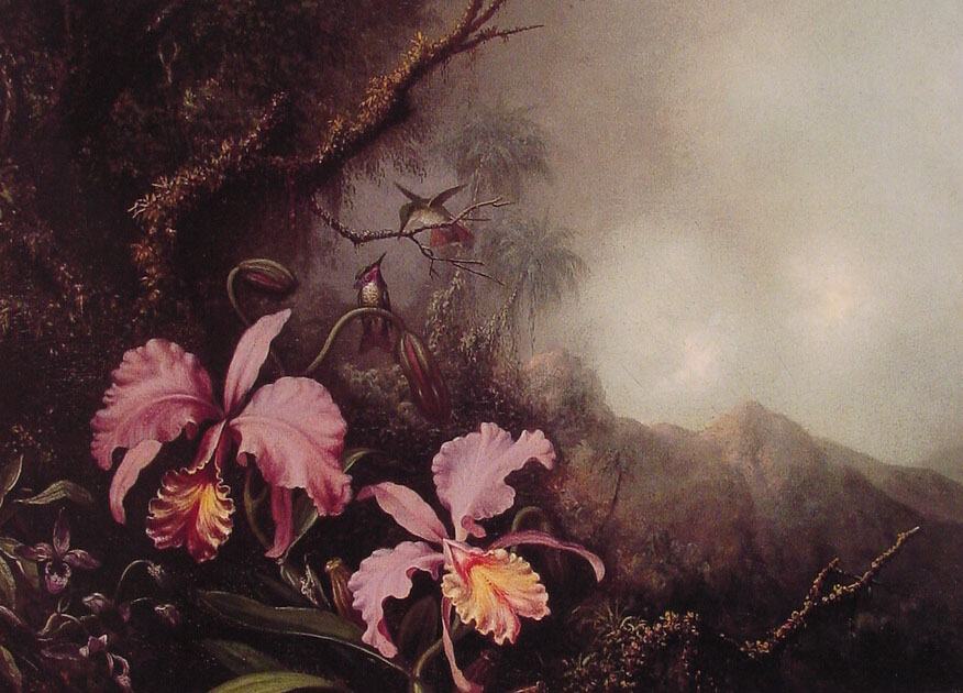 Martin Johnson Heade Two Orchids in a Mountain Landscape
